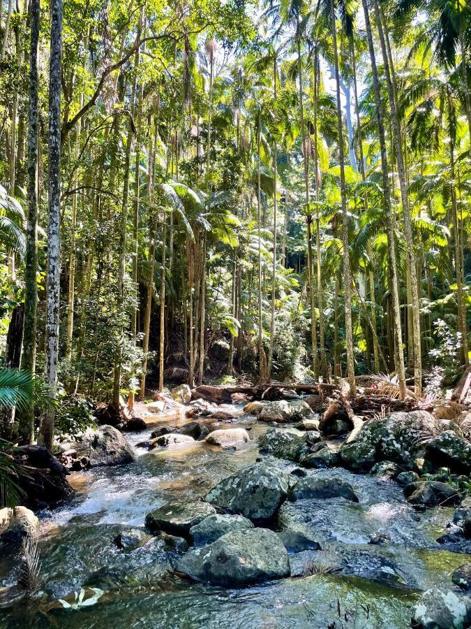 Mountain Studio Escape Mount Tamborine Dış mekan fotoğraf