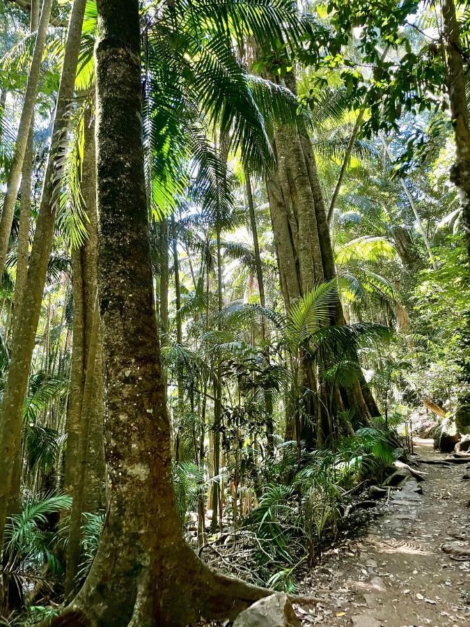 Mountain Studio Escape Mount Tamborine Dış mekan fotoğraf